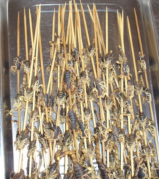 照片 100.jpg