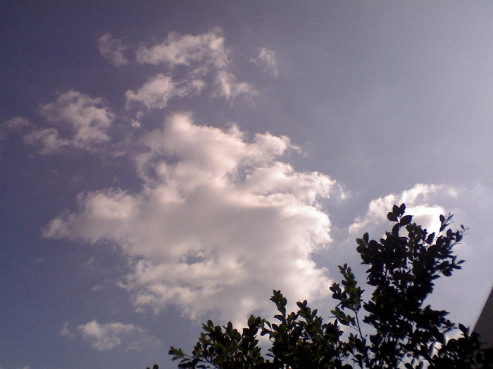 DSC_00771.jpg
