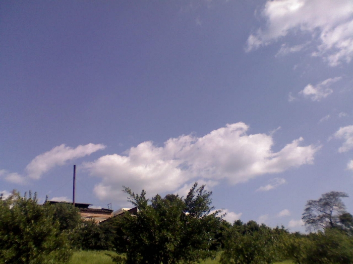 DSC_00772.jpg