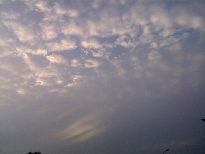 DSC_00786.jpg