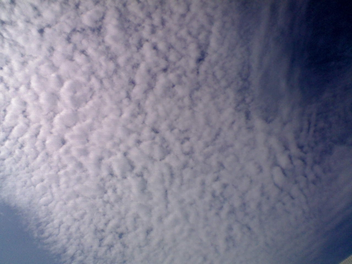 DSC_00765.jpg