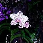 u=136413934,3846435281&fm=0&gp=-40[1].jpg