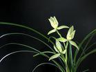 u=142769262,1930003838&fm=2&gp=45[1].jpg