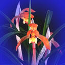 u=2561352496,2008095401&fm=0&gp=28[1].jpg