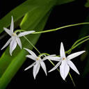 u=1299633642,384119260&fm=0&gp=42[1].jpg