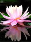 u=7896467,430408287&fm=0&gp=20[1].jpg