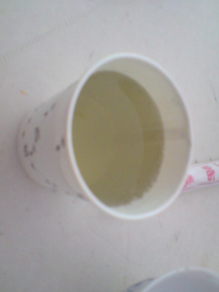 DSC00666.jpg
