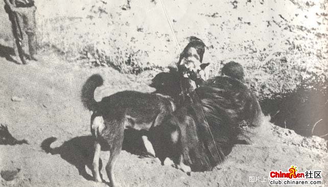 忘记历史就是背叛5.jpg