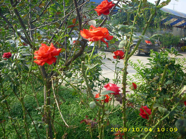 DSCI0017.jpg