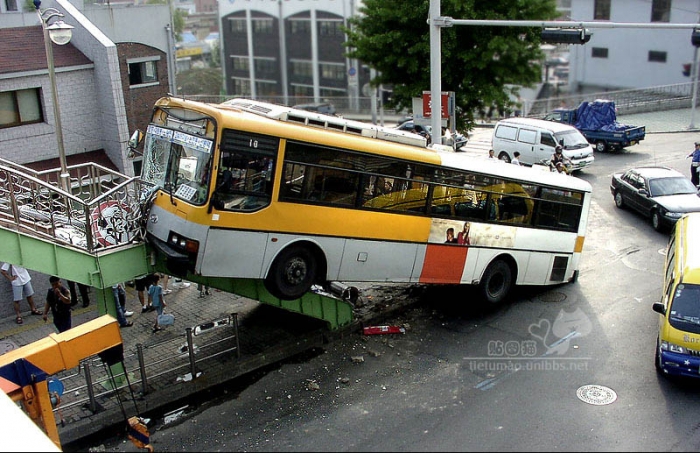 923012.jpg