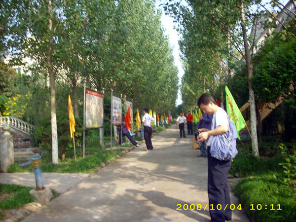 DSCI0019.jpg