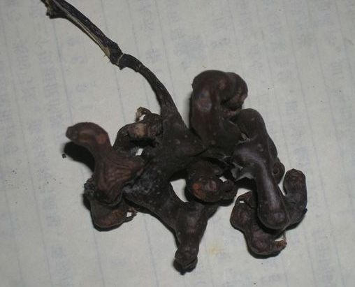 未命名1.jpg