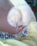IMG0188A.jpg
