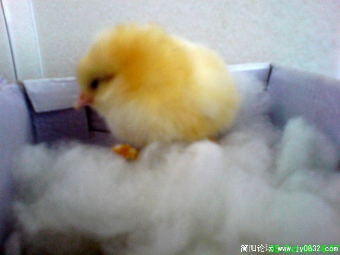 调整大小 重新曝光 DSC00030.JPG