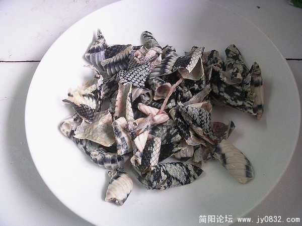 照片308.jpg