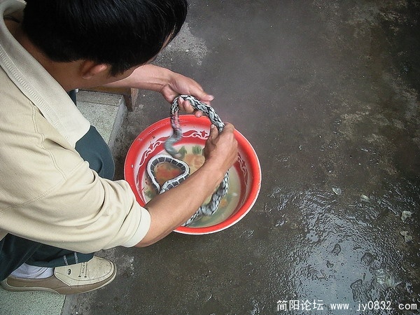 照片292.jpg
