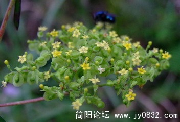 普安卧龙观 (26).jpg