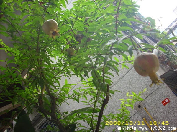 DSCI0015.jpg