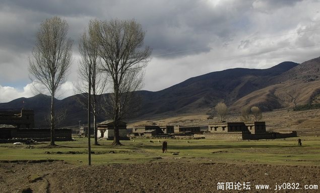 稻城印象.JPG