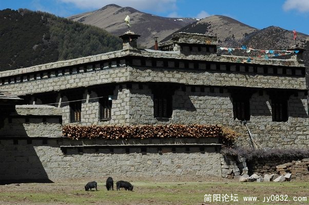 红原5.JPG