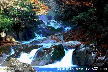 秋景.JPG