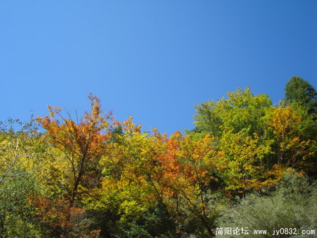 DSC03718.JPG