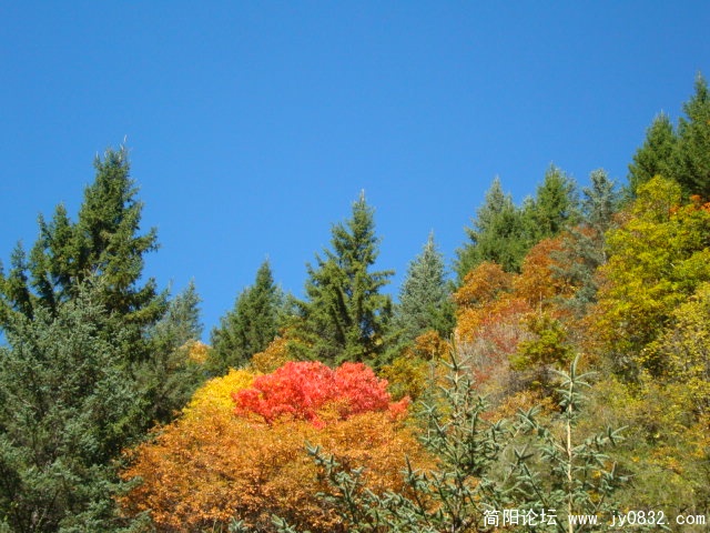 DSC03524.JPG