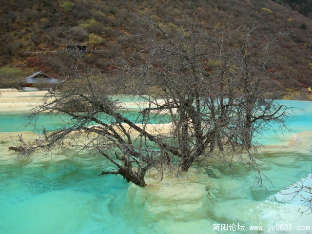 DSC03312.JPG