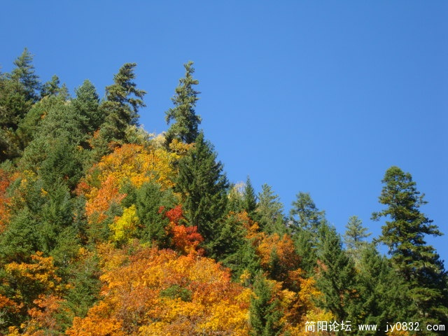 DSC03560.JPG