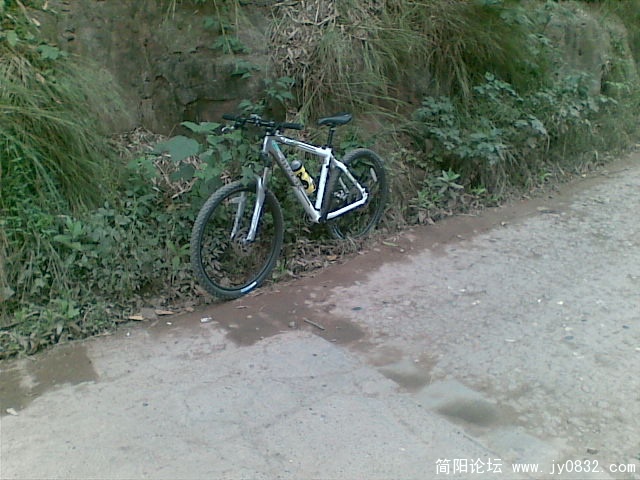 图像015.JPG