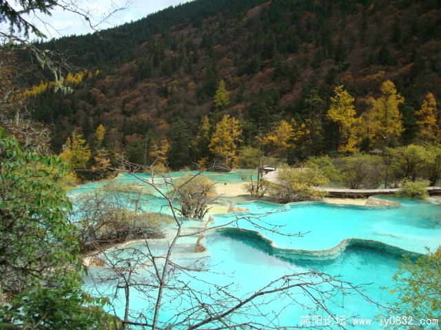 DSC03329.JPG