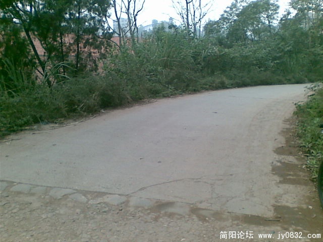 图像013.JPG