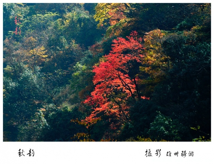 秋韵03.jpg