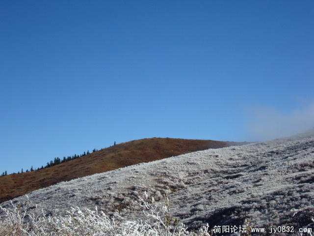 DSC03490.JPG