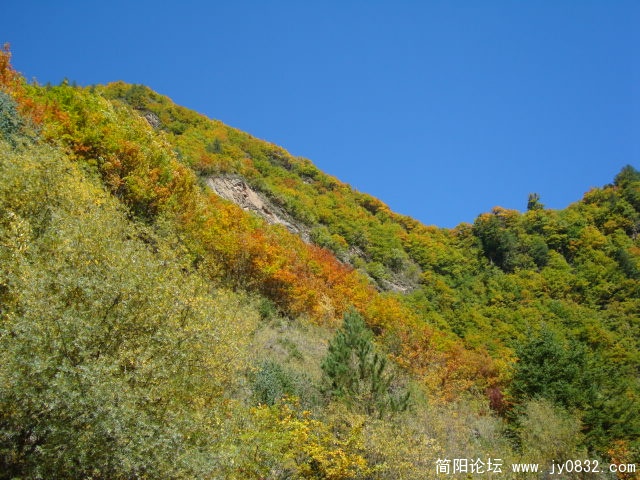 DSC03666.JPG