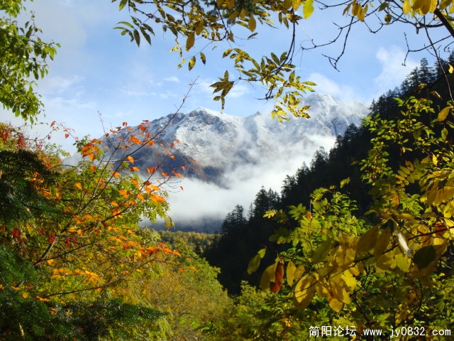 DSC03113.JPG