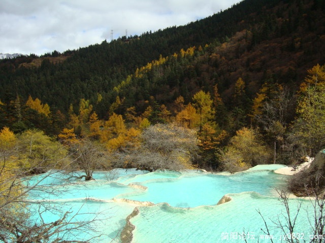 DSC03342.JPG