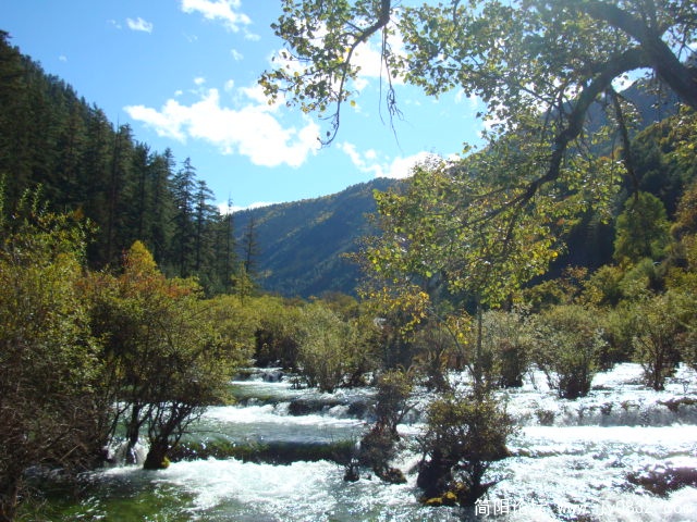 DSC03245.JPG