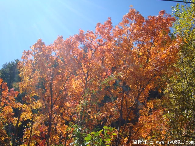 DSC03621.JPG