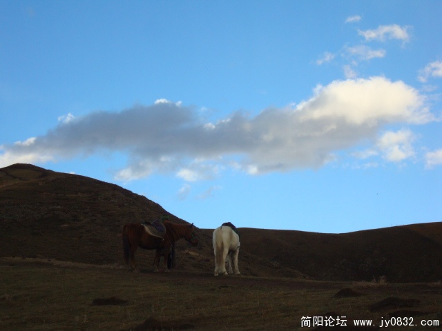 DSC03396.JPG