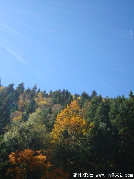 DSC03601.JPG