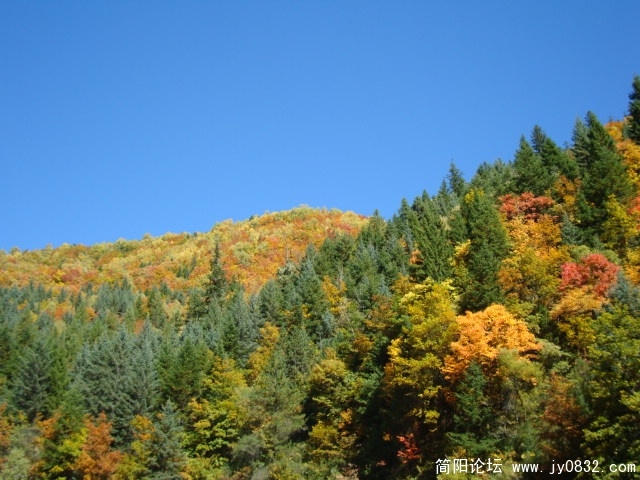 DSC03627.JPG