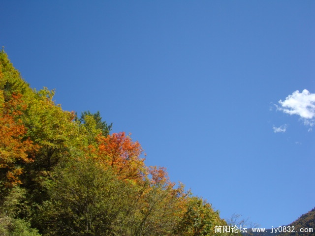 DSC03656.JPG