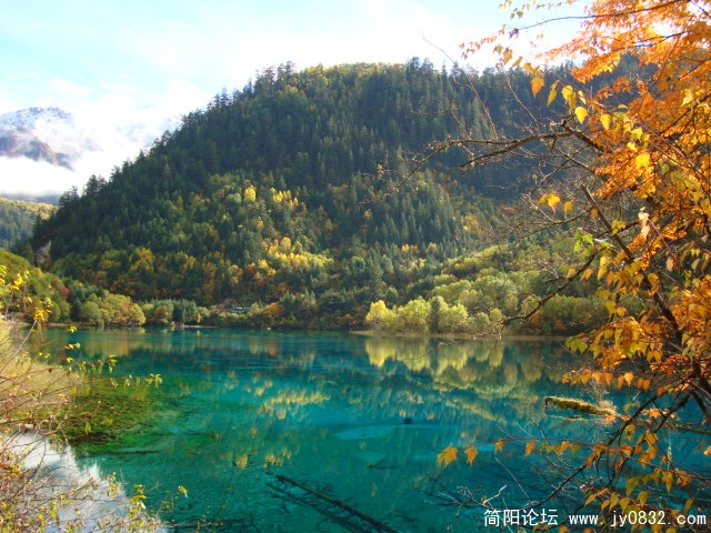 DSC03112.JPG