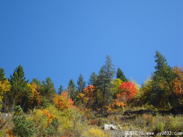DSC03598.JPG