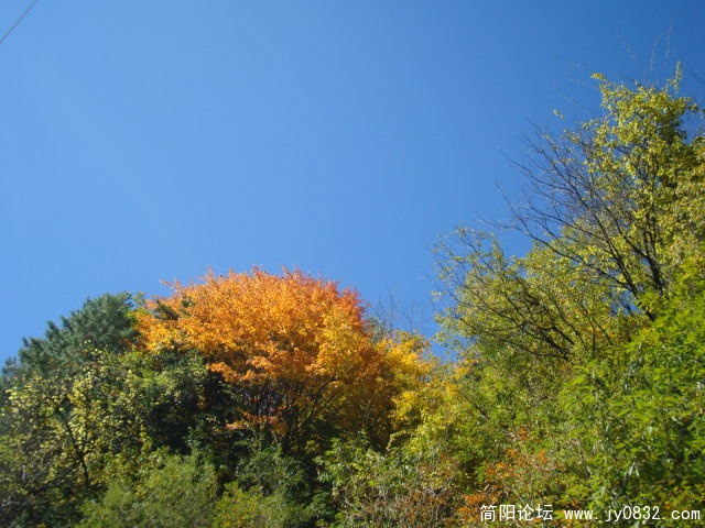 DSC03687.JPG