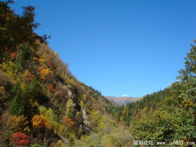 DSC03532.JPG