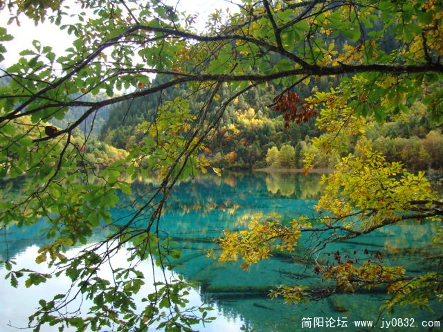 DSC03105.JPG