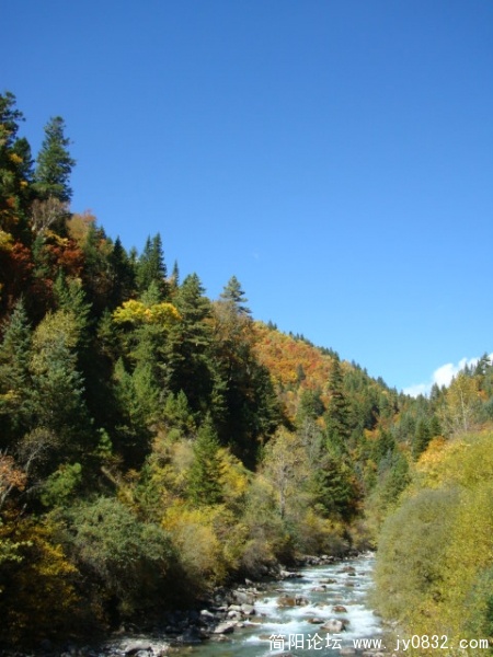 DSC03586.JPG