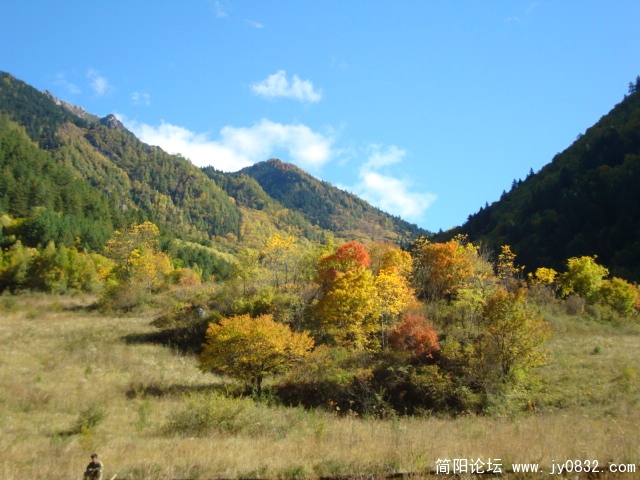 DSC03253.JPG